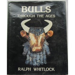 Bulls Through The Ages