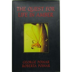 The Quest For Life In Amber