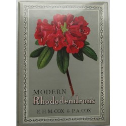 Modern Rhododendrons
