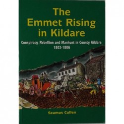The Emmet Rising in Kildare