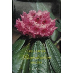 The Larger Rhododendron...