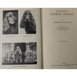 The Popular Cocker Spaniel