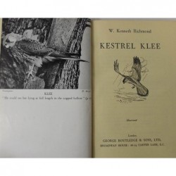 Kestrel Klee