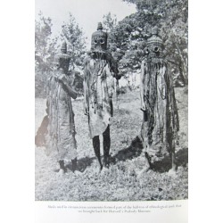 Forest Safari