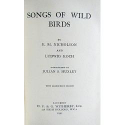 Song of Wild Birds