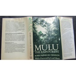 MULU. The Rain Forest