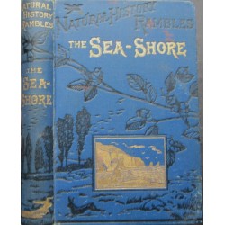 The Sea-Shore