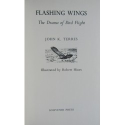 Flashing Wings. The Drama...