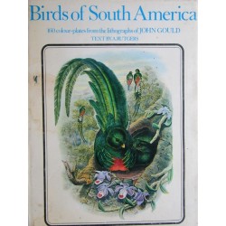 Birds of South America