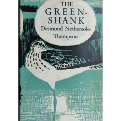 The Greenshank