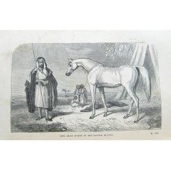 Manual Of British Rural...
